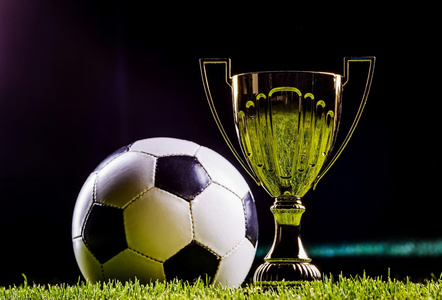 这项活动因 这项活动因