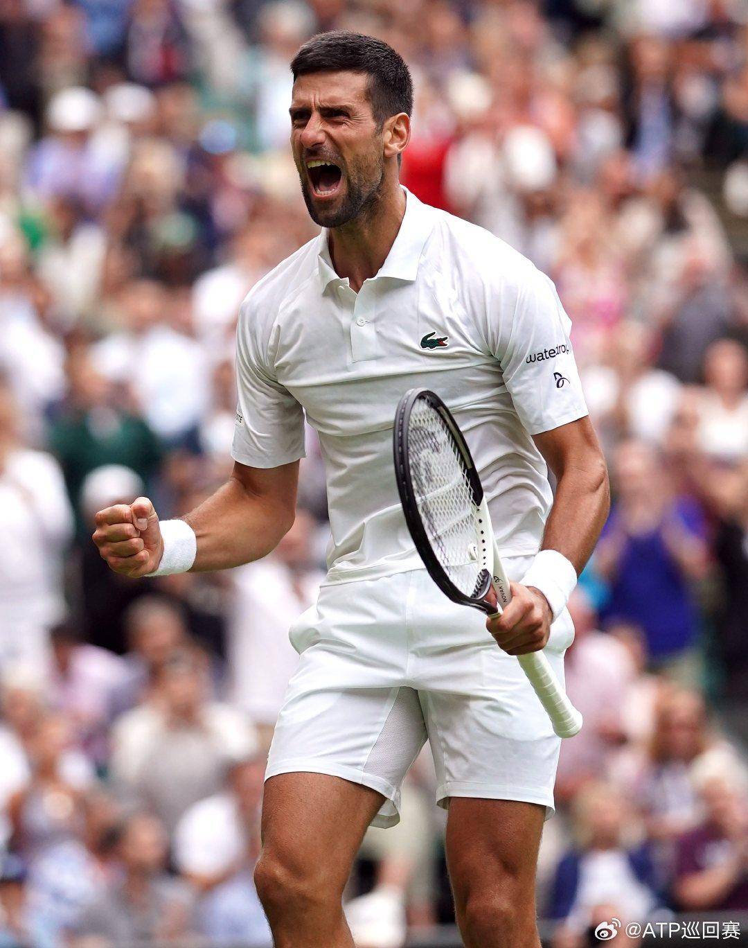 入禁区终结 入禁区终结