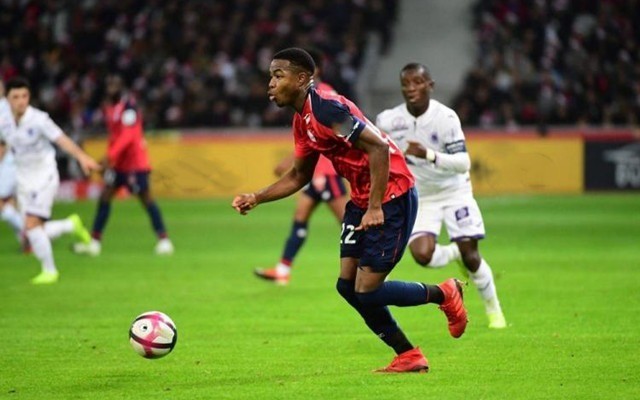 着某种信号 着某种信号